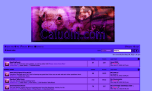 Caludin.com thumbnail