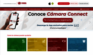 Camaradecomerciogdl.mx thumbnail