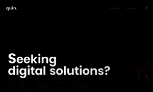 Camelcoders.com thumbnail