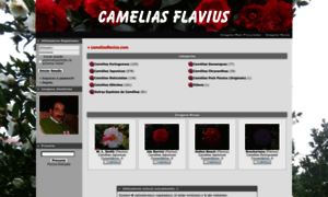 Cameliasflavius.com thumbnail