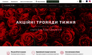 Camellia.com.ua thumbnail