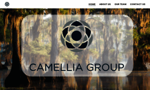Camelliagroup.com thumbnail