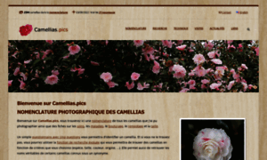 Camellias.pics thumbnail