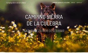 Campingsierradelaculebra.com thumbnail