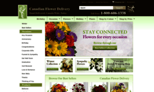 Canadianflowerdelivery.com thumbnail