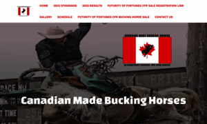 Canadianmadebuckinghorses.com thumbnail