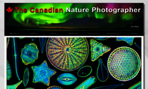 Canadiannaturephotographer.com thumbnail