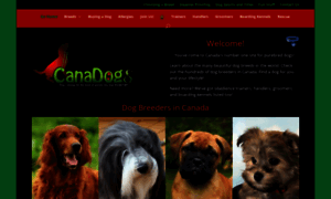 Canadogs.ca thumbnail