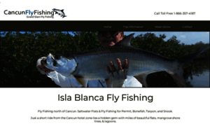 Cancunflyfishing.com thumbnail