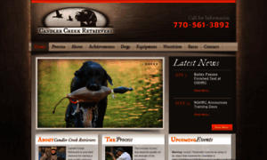 Candlercreekretrievers.com thumbnail