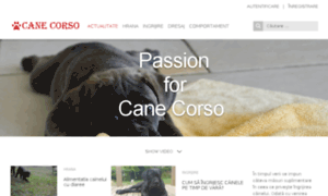 Canecorso-mastiff.ro thumbnail
