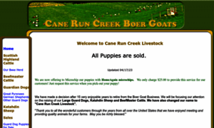 Caneruncreekboergoats.com thumbnail