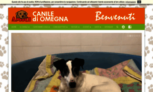 Canilediomegna.it thumbnail