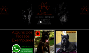 Canilmansur.com.br thumbnail