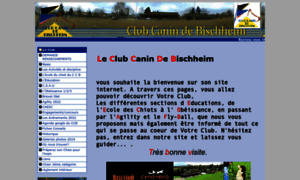 Canin-bischheim.com thumbnail