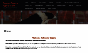 Caninecapersagility.com thumbnail