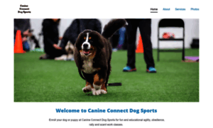 Canineconnectdogsports.com thumbnail