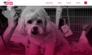 Caninecottagesyosset.com thumbnail