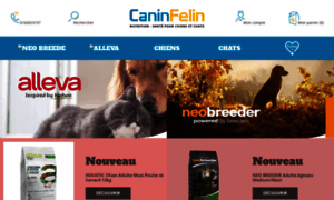 Caninfelin.fr thumbnail