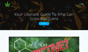 Cannabiscreativeconference.com thumbnail