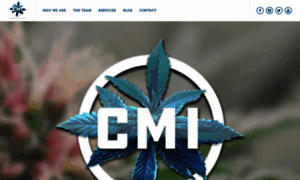 Cannabismarketinginc.com thumbnail