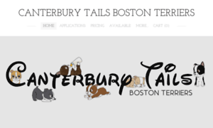 Canterburytailsbostonterriers.com thumbnail