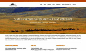 Canwildphototours.com thumbnail