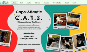 Capeatlanticcats.com thumbnail