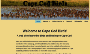 Capecodbirds.org thumbnail