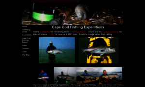 Capecodfishingexpeditions.com thumbnail