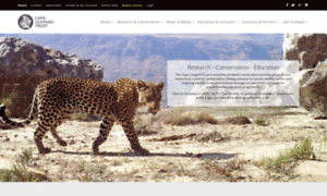 Capeleopard.org.za thumbnail