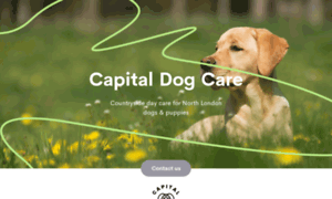 Capitaldogcare.co.uk thumbnail