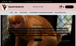 Capuchinmonkeypet.com thumbnail