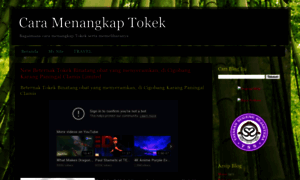 Cara-menangkap-tokek.blogspot.com thumbnail