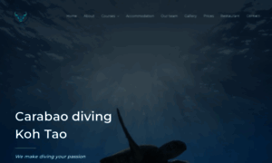 Carabaodivingkohtao.com thumbnail