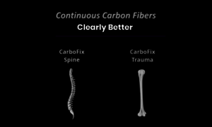 Carbo-fix.com thumbnail