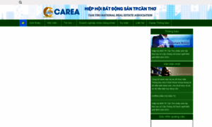 Carea.org.vn thumbnail