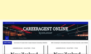 Careeragent.online thumbnail