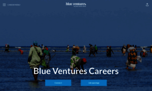 Careers.blueventures.org thumbnail