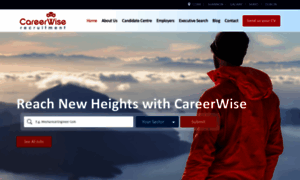 Careerwise.ie thumbnail