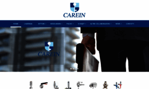 Careinsrl.it thumbnail