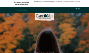 Carenetcares.com thumbnail