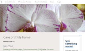 Careorchidshome.com thumbnail