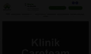 Careteam.dk thumbnail