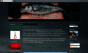 Carfoutdoors.blogspot.com thumbnail