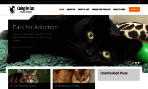 Caring4cats.org thumbnail