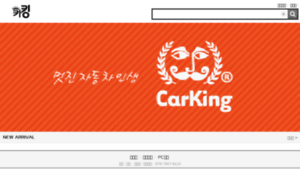 Carking.co.kr thumbnail