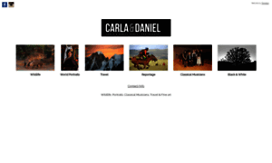 Carlaboreel.com thumbnail