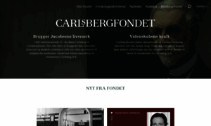 Carlsbergfondet.dk thumbnail