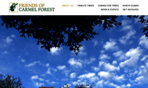 Carmelforest.org thumbnail